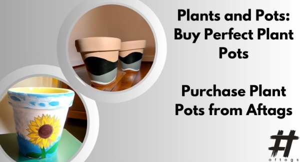 Plants and Pots: Buy Perfect Plant Pots for Your Home at Aftags